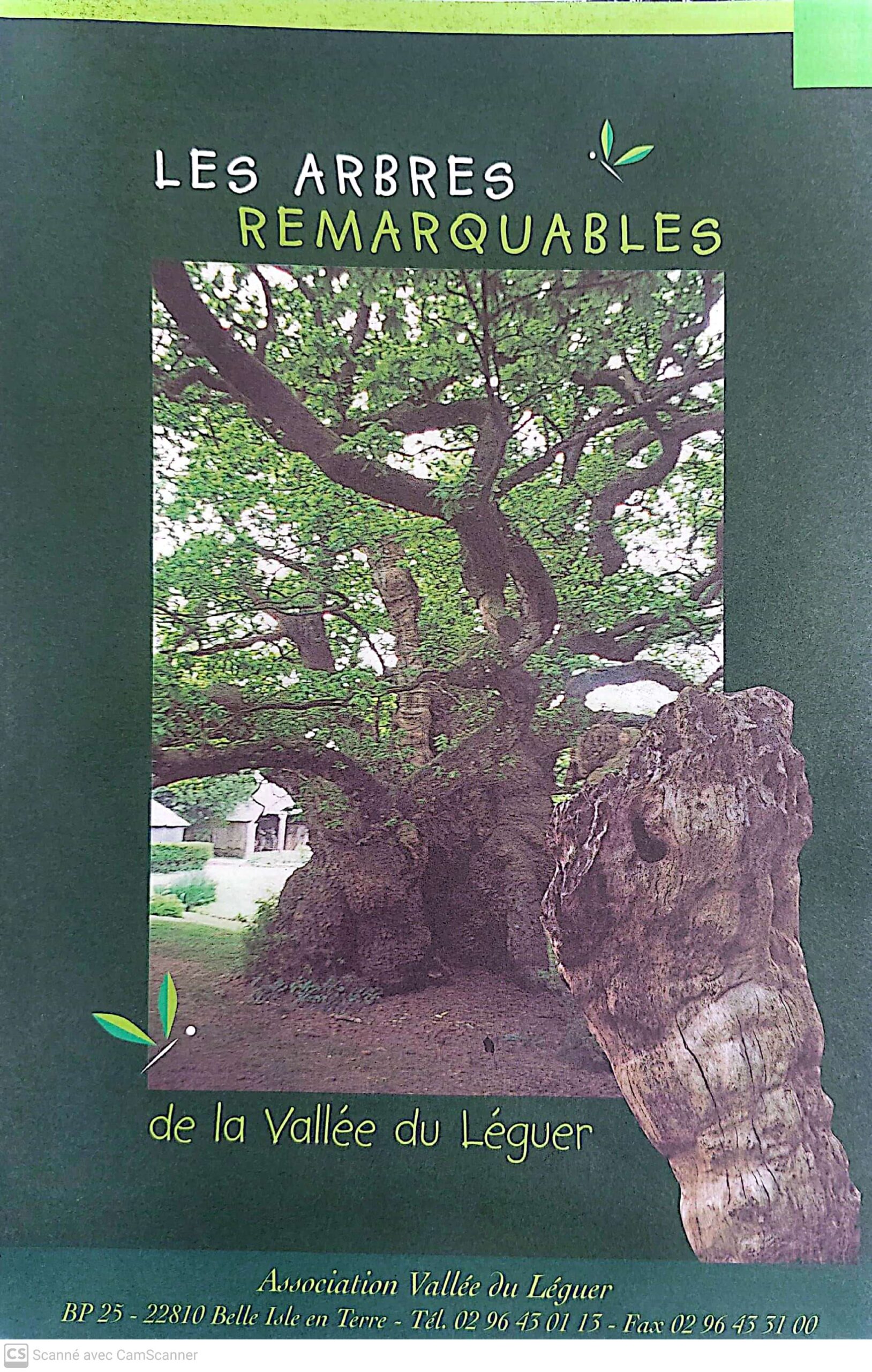 Les arbres remarquables de la Vallée du Léguer